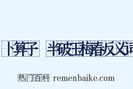 卜算子·半破玉梅春反义词是什么意思的图片